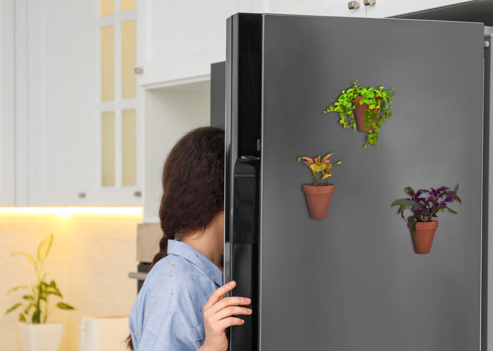 potbuddy magnetic plant pots on refrigerator