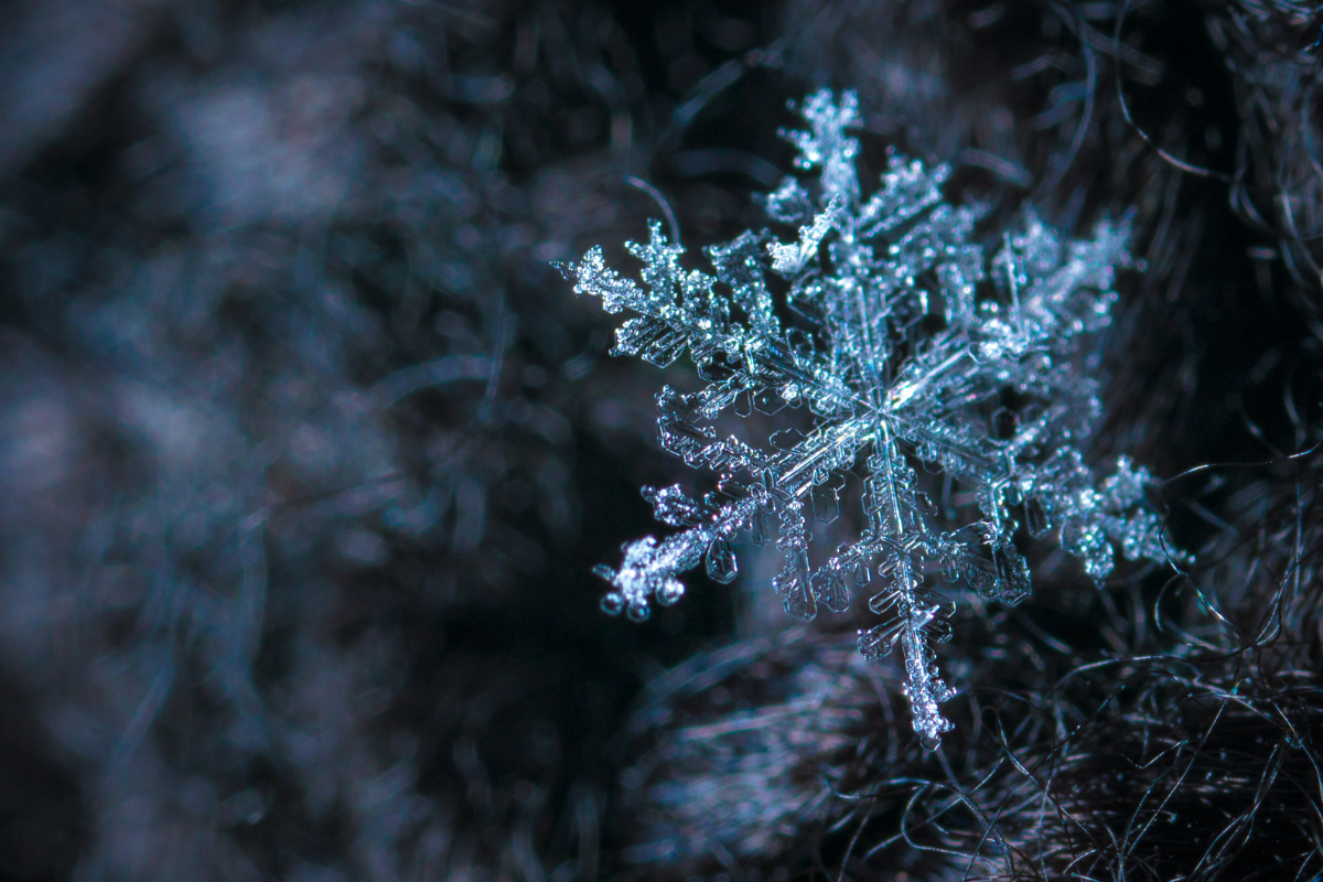 The Science of Snowflakes: Exploring the Intricate Formation and Unique Beauty