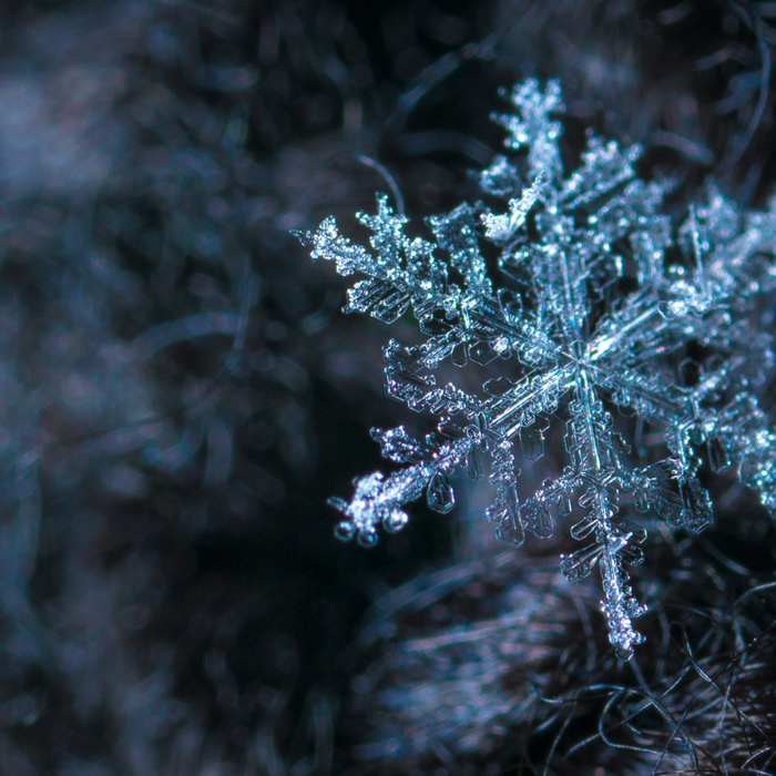 The Science of Snowflakes: Exploring the Intricate Formation and Unique Beauty