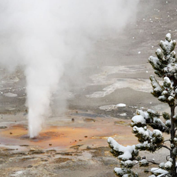 The Many Densities of Water