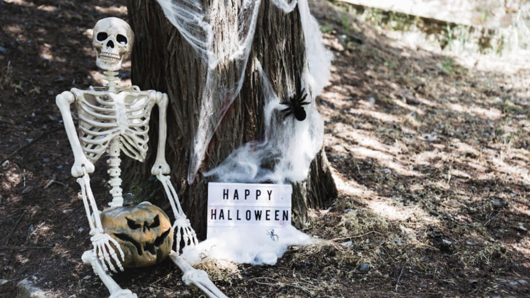 Get Your Spooky Season On with Halloween at hBARSCI!