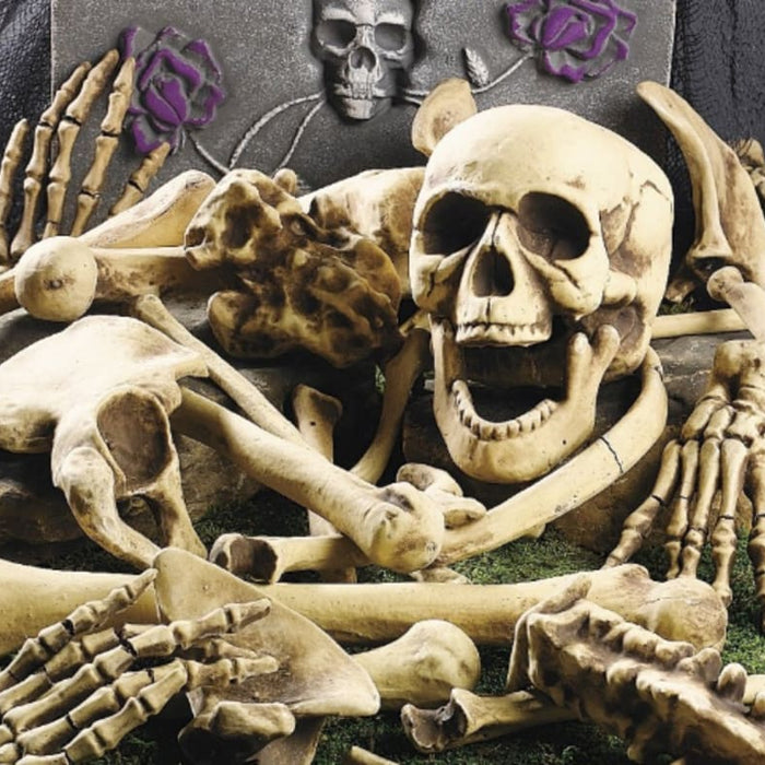 The Spookiest Work-From-Home Buddy: Skeletons and Skulls For Your Halloween Decorating