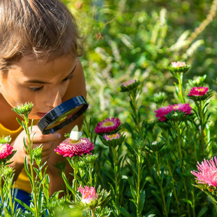 The 4 Best Spring Experiments for at-Home Scientists