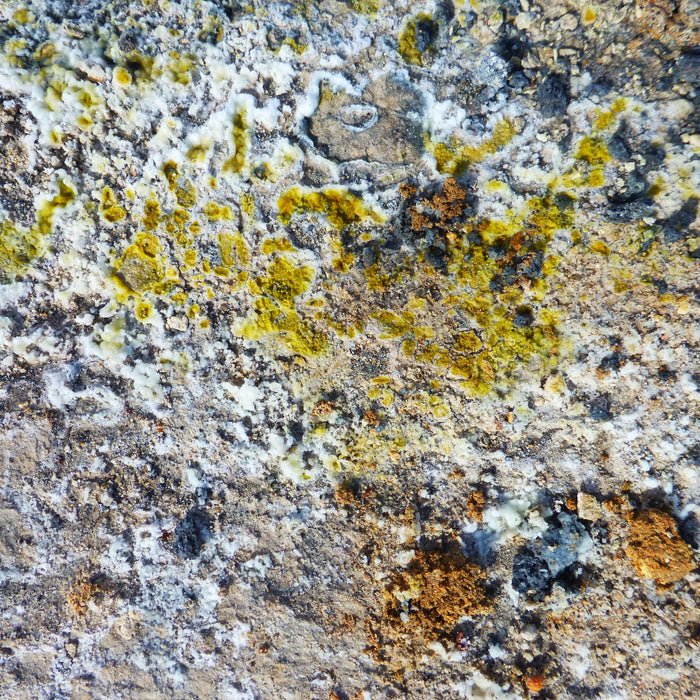 Melting and Recrystallizing “Yellow Snow” (Sulfur Experiment)