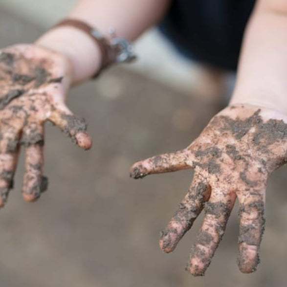 Spring Time Science – 5 Simple Outdoor Science Activities Kids Love!