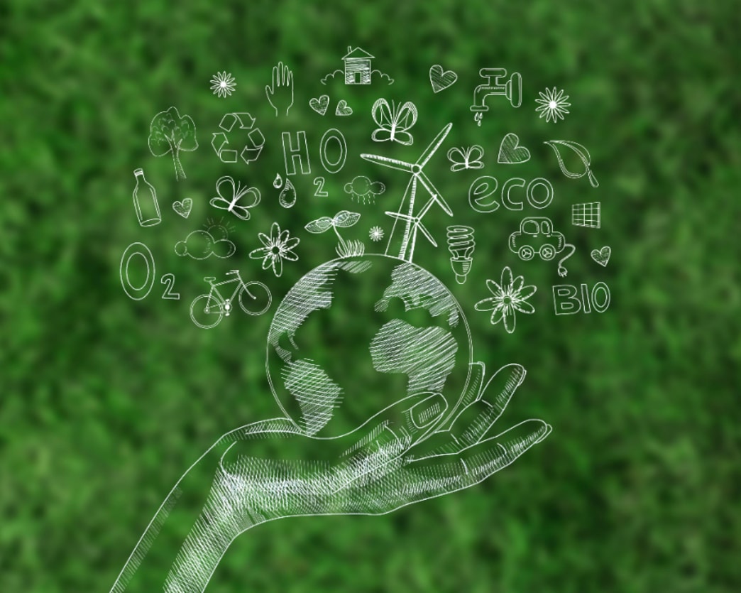 Engage in Citizen Science and Help Our Planet—Here’s How!