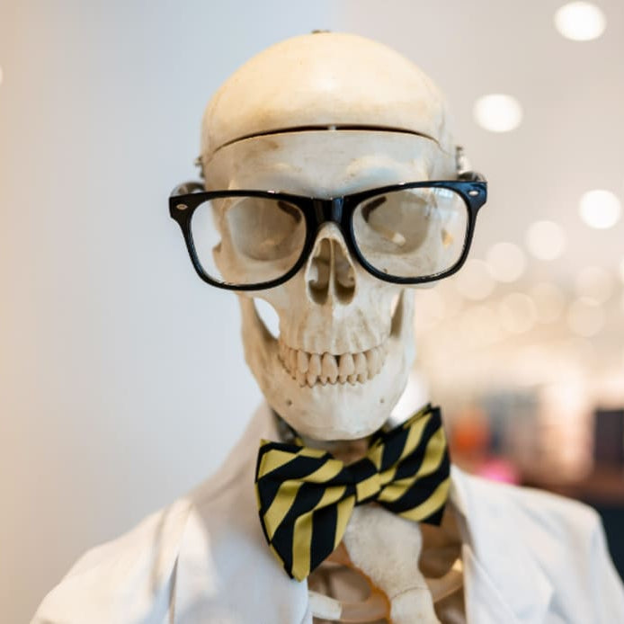 Halloween with hBARSCI: Spooky Science, Eerie Experiments, and—You Guessed It—Skeletons!