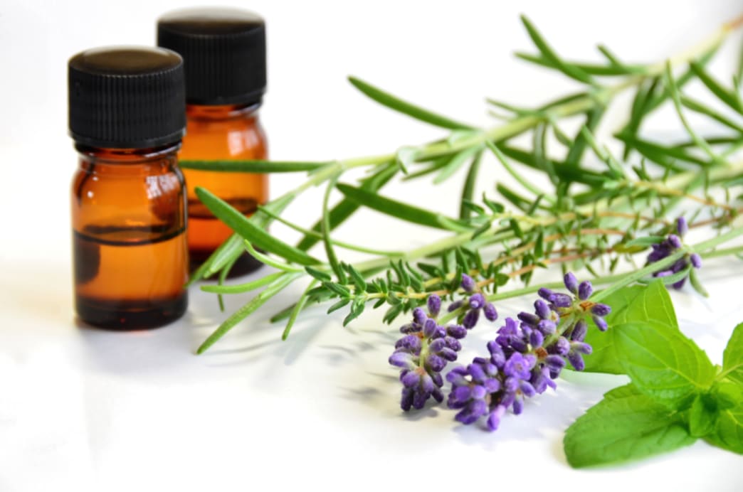 How To Distill Essential Oils