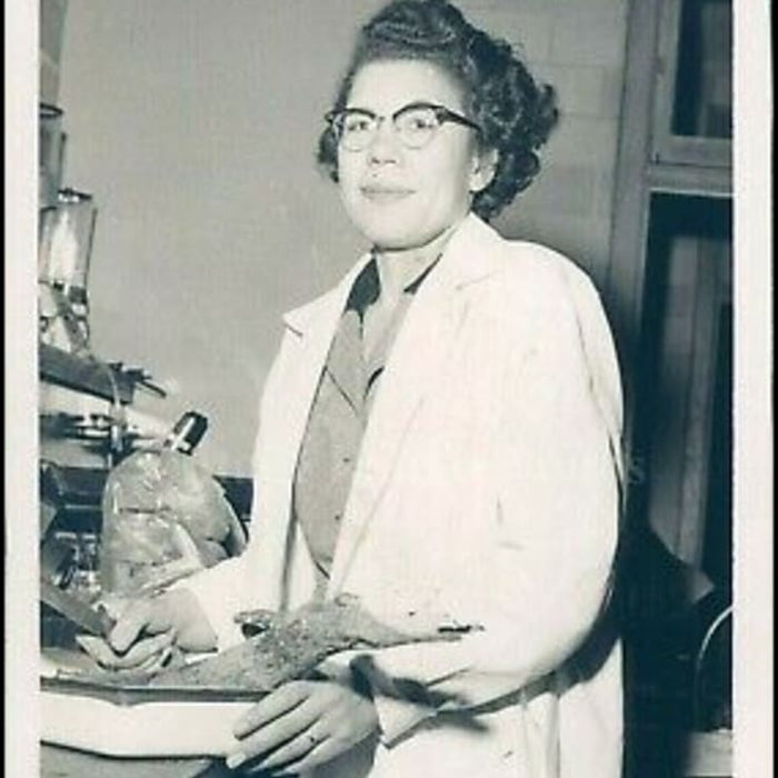 Margaret S. Collins – Entomologist and Civil Rights Activist