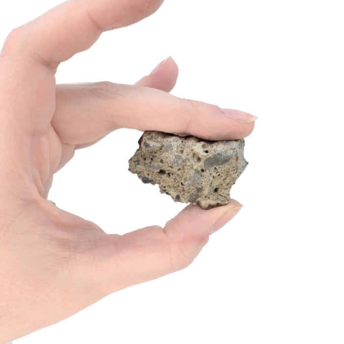 Eisco - 6 Count Raw Concrete Mineral Specimens Approx. 1-3 Inches - Hand-Processed by Geologist - for Geology Classrooms and Identification Exercises