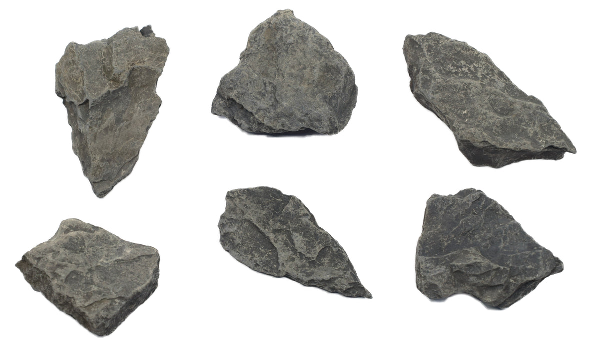 6PK Raw Carbonaceous Shale, Sedimentary Rock Specimen - Approx. 1"