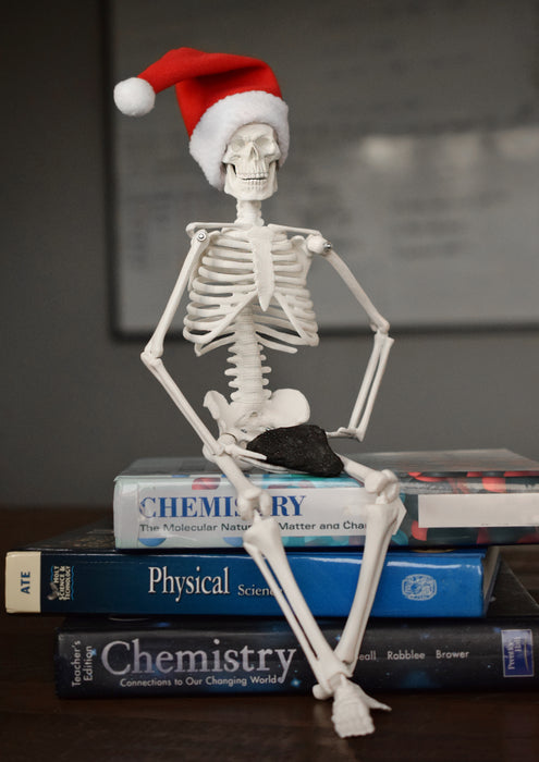 Dead Elf in the Lab 17 inch Miniature Skeleton with Santa Hat and Christmas Coal