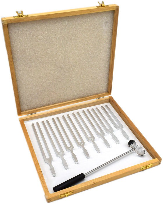 8-Piece Scientific Tuning Fork Set with Mallet and Wooden Case