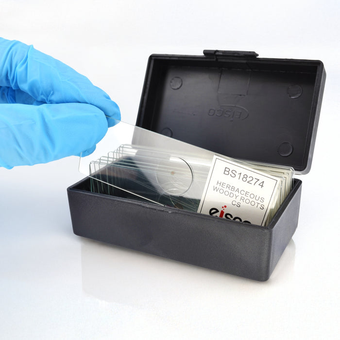 10PK Herbaceous Woody Roots Composite - Prepared Microscope Slides - 75x25mm