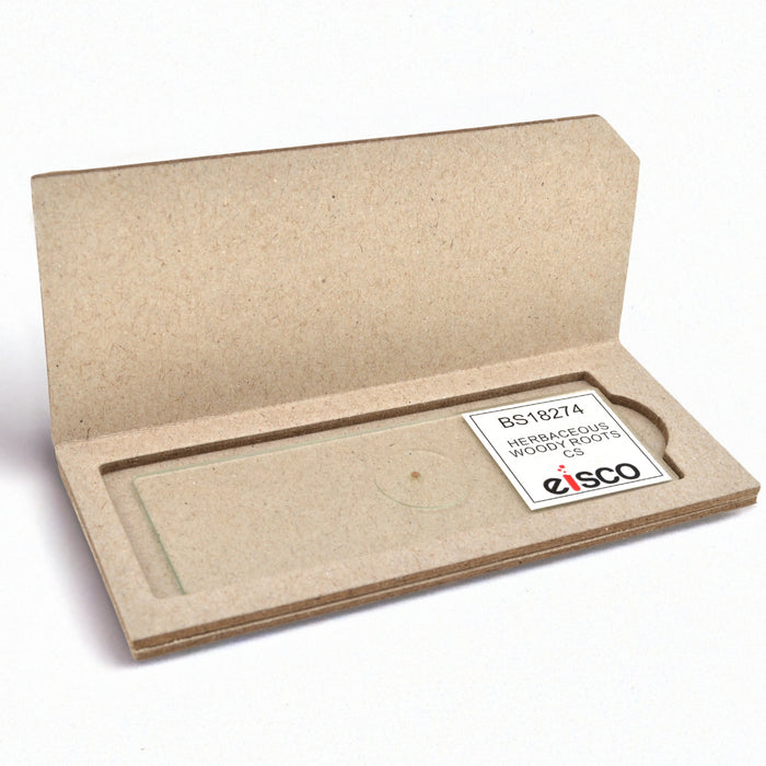 Herbaceous Woody Roots Composite - Cross Section - Prepared Microscope Slide - 75x25mm