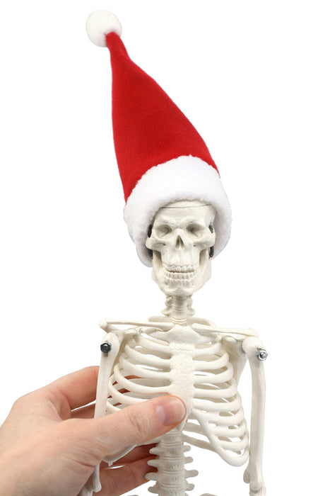 Dead Elf in the Lab 17 inch Miniature Skeleton with Santa Hat and Christmas Coal
