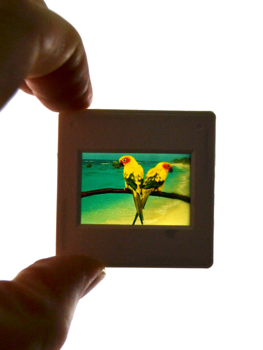 Complete Optical Bench and Attachment Set with 20 Lab Activities