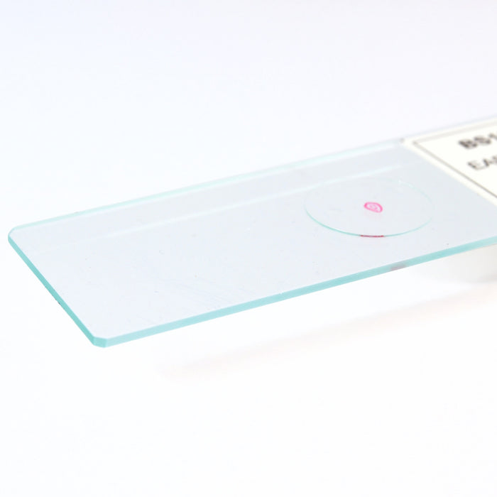 Eisco - Prepared Microscope Slide of Earthworm Cross Section 25x77mm Glass Slide Stained for Structure Visualization