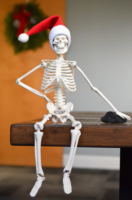Dead Elf in the Lab 17 inch Miniature Skeleton with Santa Hat and Christmas Coal