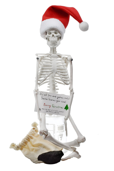 Dead Elf in the Lab 17 inch Miniature Skeleton with Santa Hat and Christmas Coal