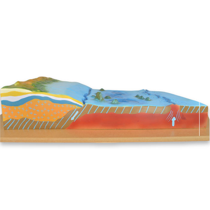 Eisco - Sea Bottom Counter Model with Labeled Features - Wall Mountable Backboard - Visual Sea Floor Representation for Classroom and Educational Use
