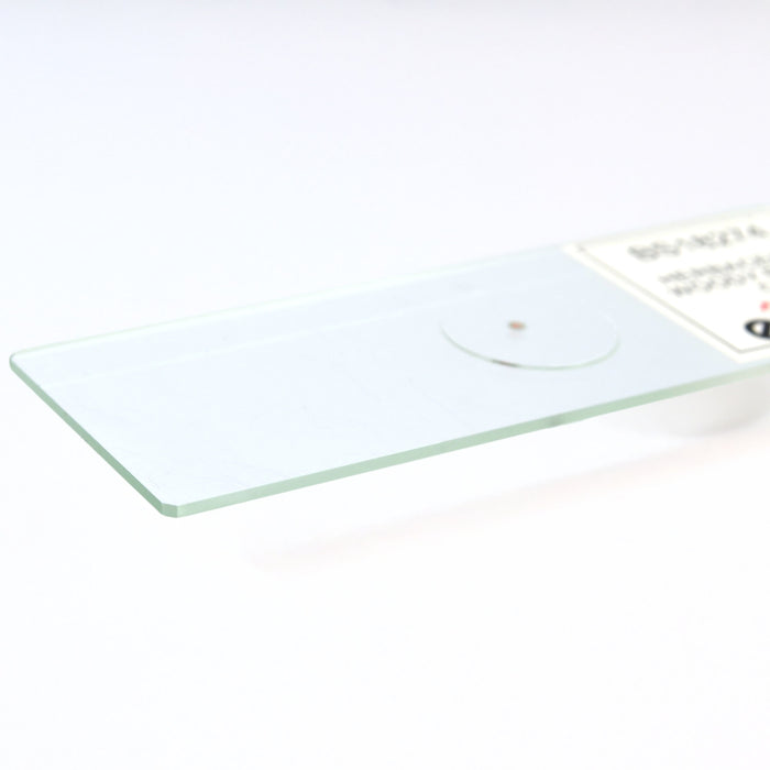 Herbaceous Woody Roots Composite - Cross Section - Prepared Microscope Slide - 75x25mm