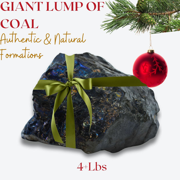 4lb Big Lump of Coal – For a Notably Naughty Person - Hilarious Gift for Mischief Makers - Christmas Coal, Coal Christmas Gift - Holiday Joke for Christmas Parties, Secret Santa, White Elephant