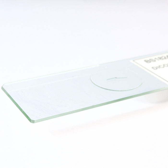 Dicot Leaf - Cross Section - Prepared Microscope Slide - 75x25mm