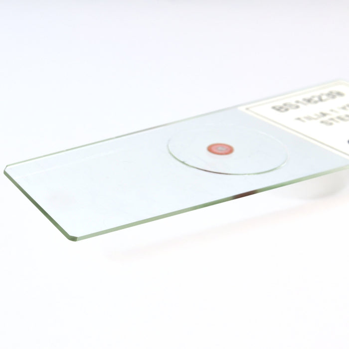 Tilia 1 Year Old Stem - Cross Section - Prepared Microscope Slide - 75x25mm