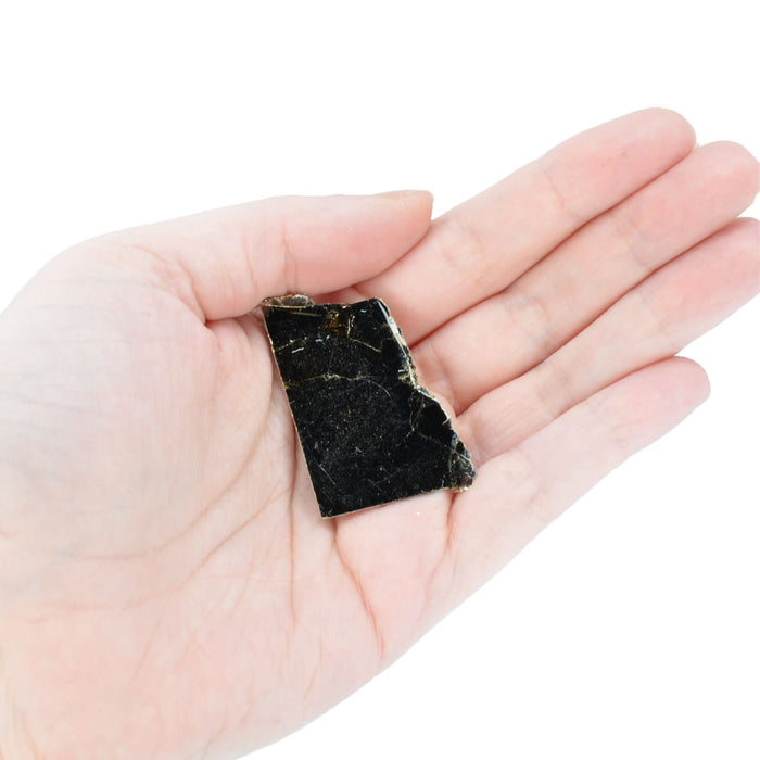 Raw Biotite, Mineral Specimen - Approx. 1" - Geologist Selected & Hand Processed - Great for Science Classrooms - Eisco Labs