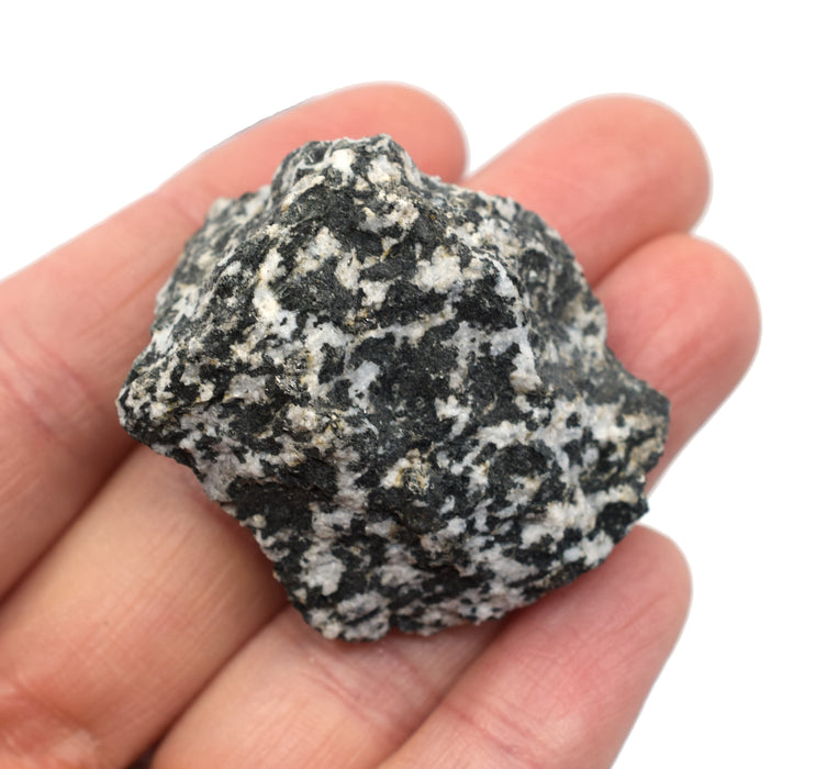 6PK Raw Diorite, Igneous Rock Specimen - Approx. 1"