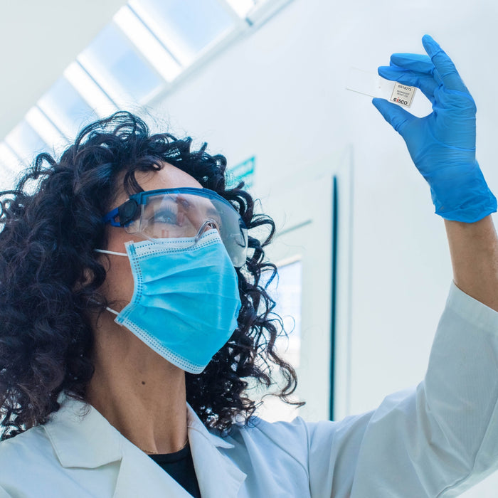 10PK Monocot Root - Cross Section - Prepared Microscope Slides - 75x25mm