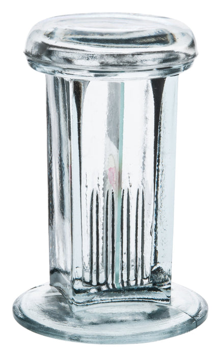 Coplin Staining Jar, Fits up to 5 76x25mm slides, 4.25" Tall - Eisco labs