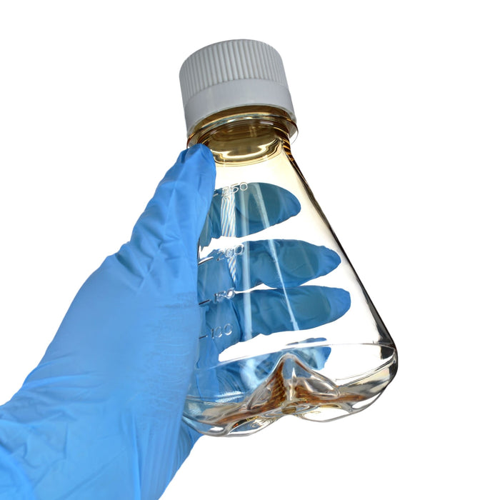 Eisco - Pack of 12, 250mL Sterile Polycarbonate Erlenmeyer Flasks, Non-Vented, Baffled Bottom, Gamma Sterilized, USP Class VI, Lab-Grade, Mixing, Cell Culture, Shaker Compatible