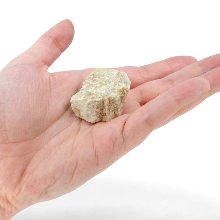 Raw Fine White Marble, Metamorphic Rock Specimen - Approx. 1" - Geologist Selected & Hand Processed - Great for Science Classrooms - Eisco Labs