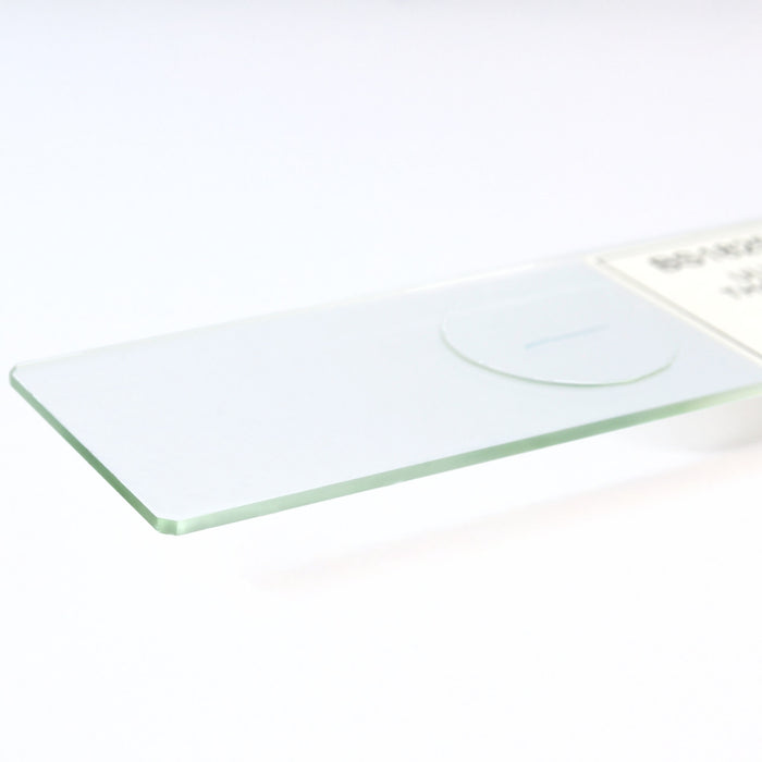Ulva Thallus Sections - Prepared Microscope Slide - 75x25mm