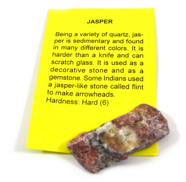 Premium 15-Piece Identified Mineral Collection with 4.5x Hand Lens