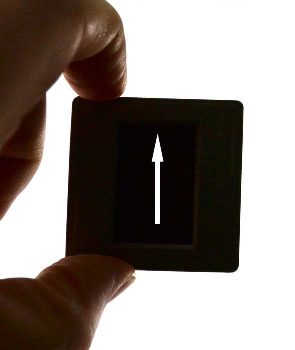 Complete Optical Bench and Attachment Set with 20 Lab Activities