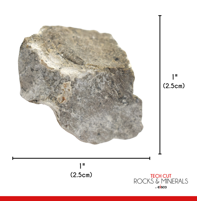 6PK Raw Gray Limestone, Sedimentary Rock Specimens - Approx. 1" - Geologist Selected & Hand Processed - Great for Science Classrooms - Class Pack - Eisco Labs