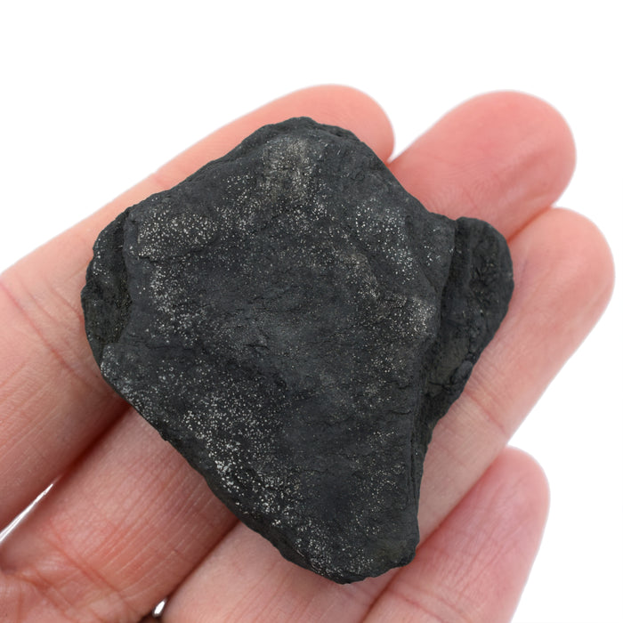 6 Pack - Raw Anthracite Coal, Metamorphic Rock Specimen - Approx. 1"