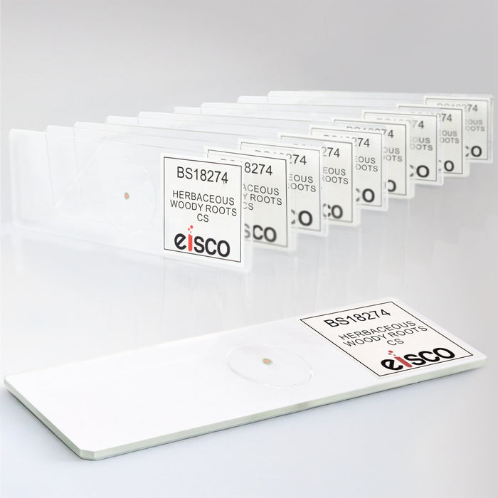 10PK Herbaceous Woody Roots Composite - Prepared Microscope Slides - 75x25mm