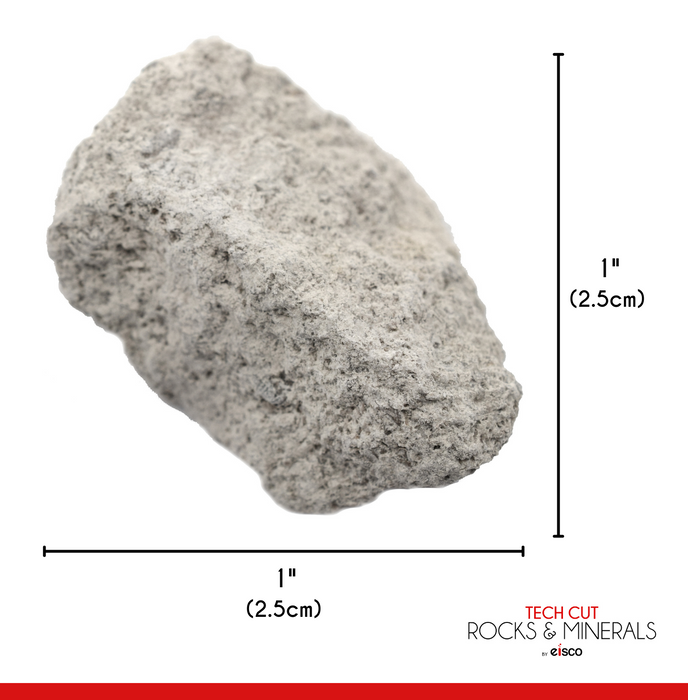 12PK Oolitic Limestone, Sedimentary Rock Specimens - Approx. 1" - Geologist Selected & Hand Processed