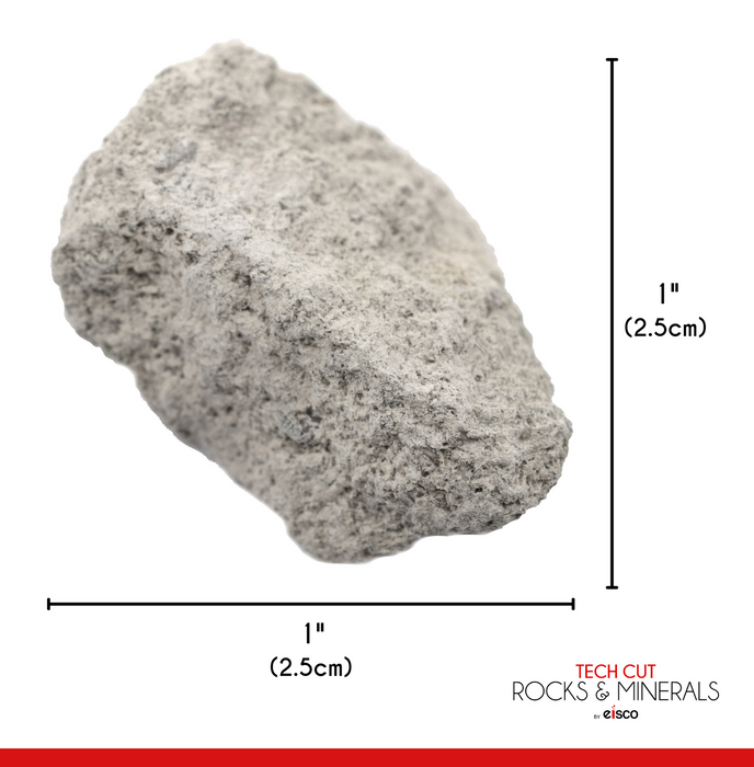Oolitic Limestone, Sedimentary Rock Specimen - Approx. 1" - Geologist Selected & Hand Processed - Great for Science Classrooms - Eisco Labs