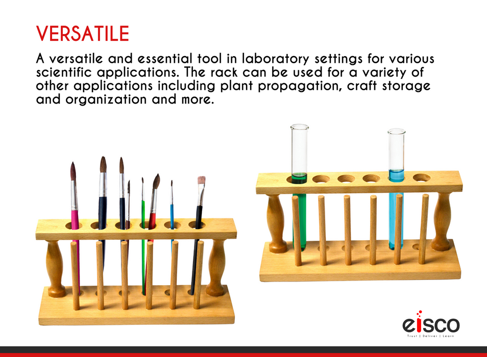 14 Piece Test Tube Set - Includes 1 x Test Tube Rack, 1 x Funnel and 12 x Test Tubes with Caps - Hardwood and Borosilicate Glass