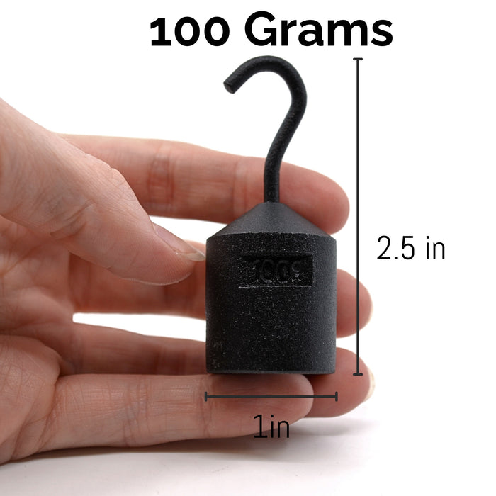 Eisco Labs - Hooked Weight 5-Pack, 100g Each - Iron, Cylindrical with Hook and Bottom Slot for Easy Lifting, Science Experiments, Physics, Scale Calibration, Measurement