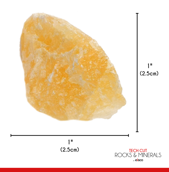 Raw Calcite, Mineral Specimen - Approx. 1" - Geologist Selected & Hand Processed - Great for Science Classrooms - Eisco Labs