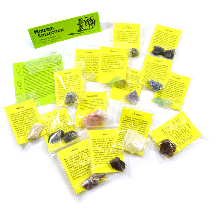 Premium 15-Piece Identified Mineral Collection with 4.5x Hand Lens