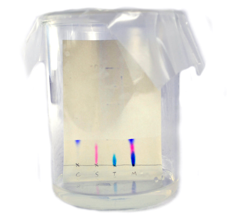Innovating Science - Paper Chromatography Kit to Separate Chemical Substances