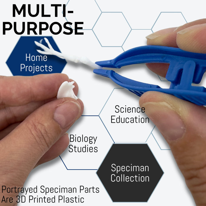 12PK Forceps/Tweezers, 5" - Disposable