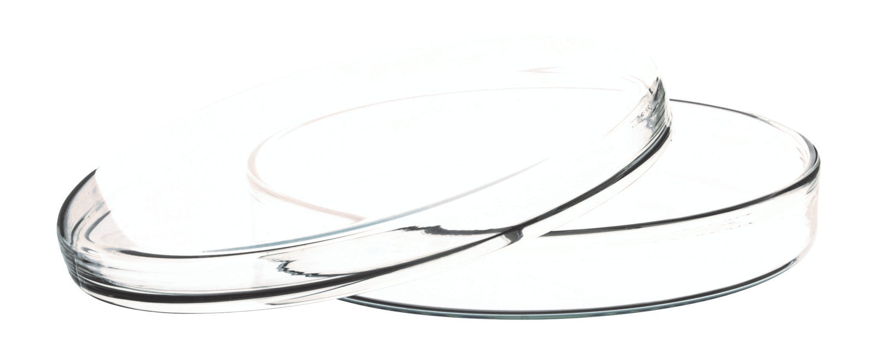 Petri Dish, 3.93" (100mm) - Beaded Edges - Easy to Sterilize for Repeated Use - Borosilicate Glass - Eisco Labs